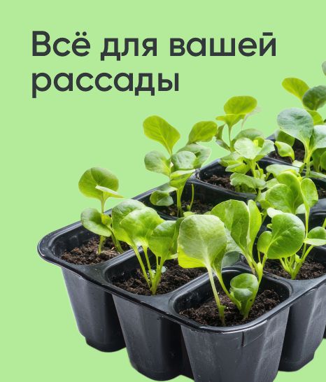 Всё для вашей рассады
